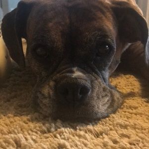 Meet your Posher, Meghan